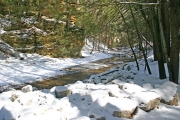 Cedar-Falls-web-meta