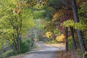 image09